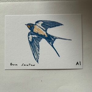 Ana Inciardi Mini Print, Barn Swallow